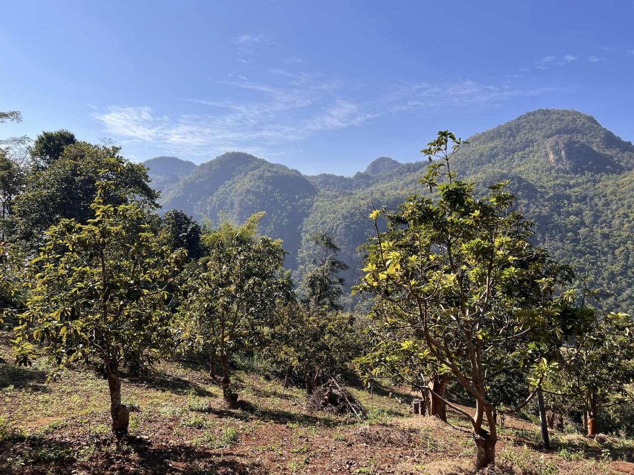 ภาพประกอบที่ 4