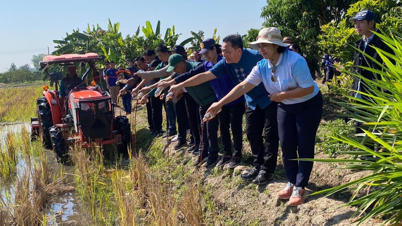ภาพประกอบที่ 2