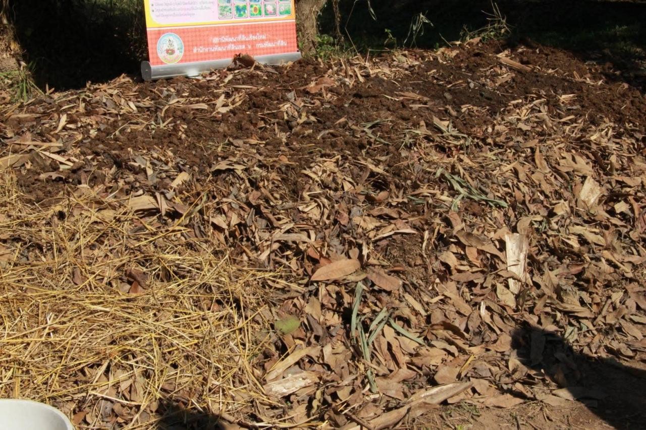 ภาพประกอบที่ 12