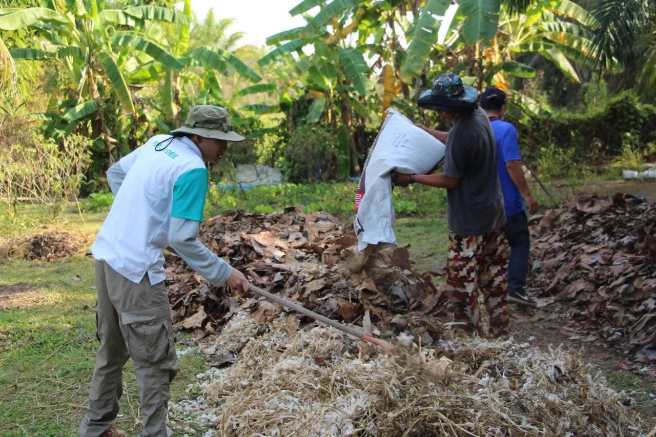 ภาพประกอบที่ 1