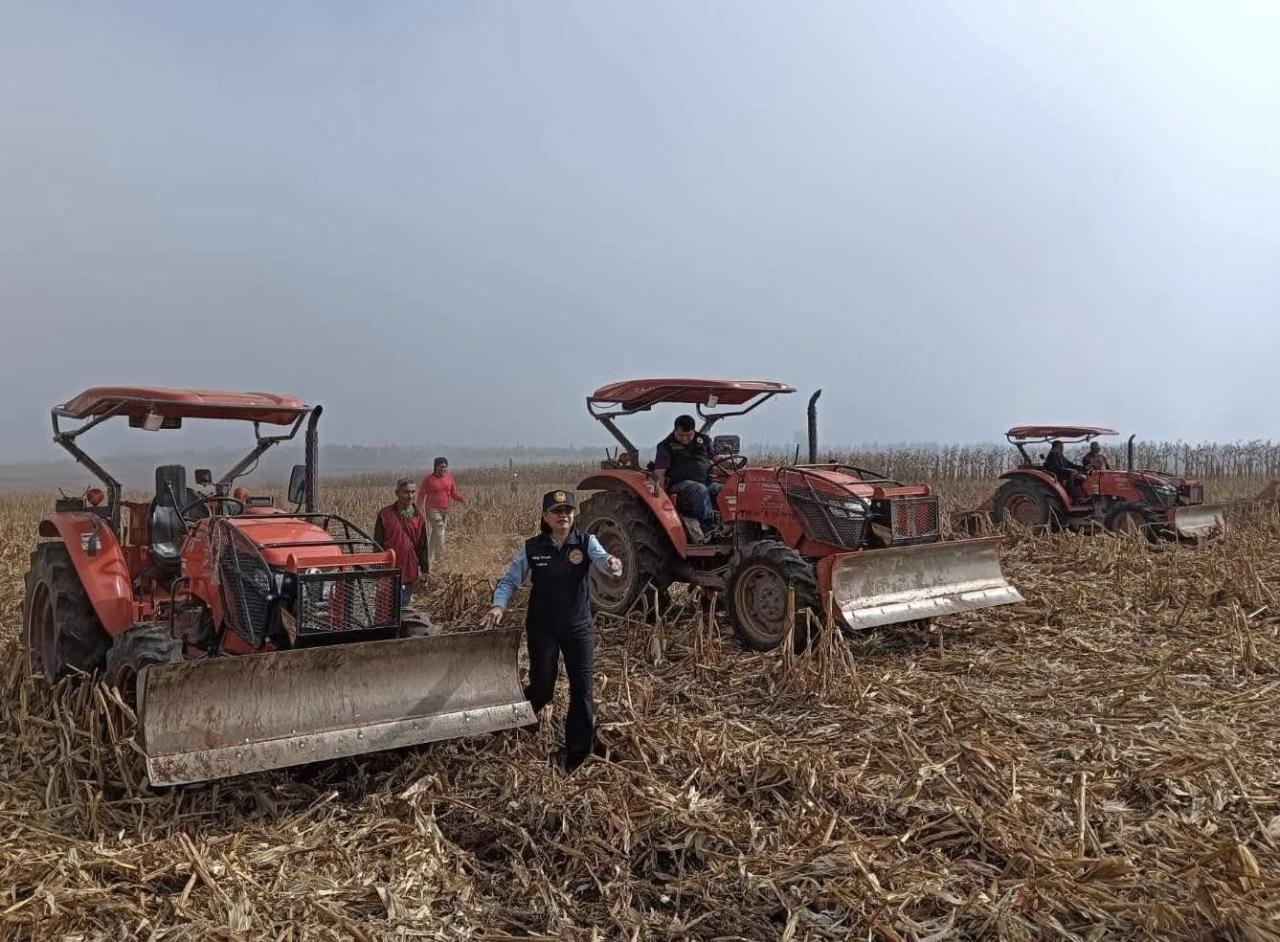 ภาพประกอบที่ 5