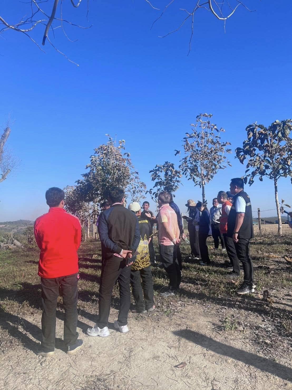 ภาพประกอบที่ 1