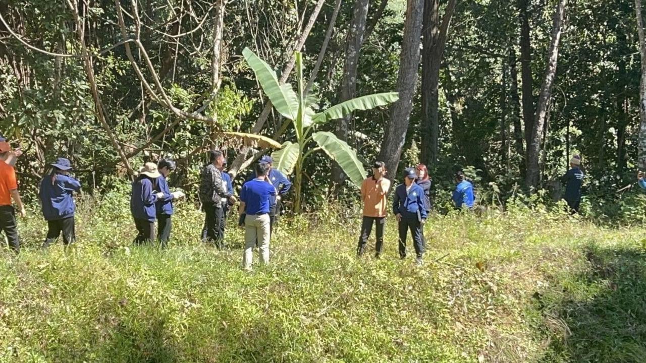 ภาพประกอบที่ 2