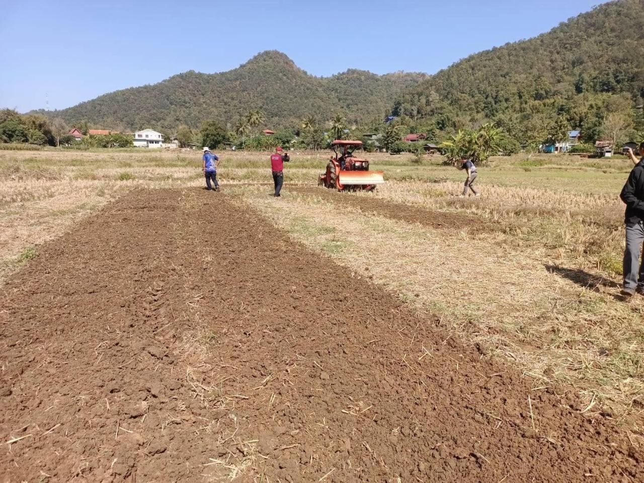 ภาพประกอบที่ 15