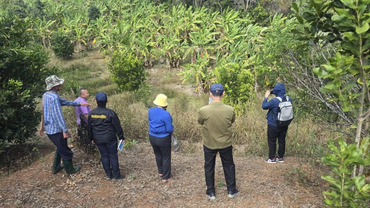 ภาพประกอบที่ 3