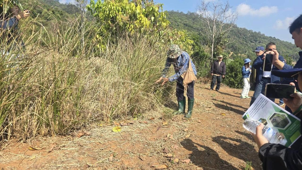 ภาพประกอบที่ 4