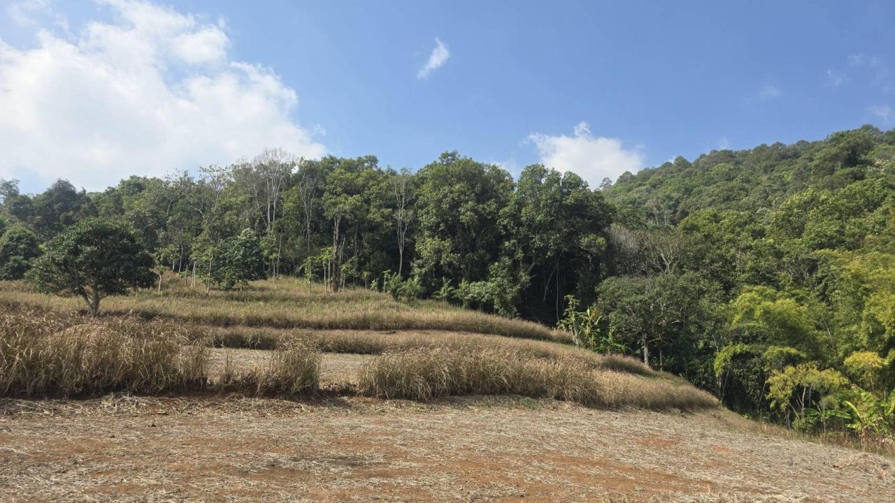 ภาพประกอบที่ 8