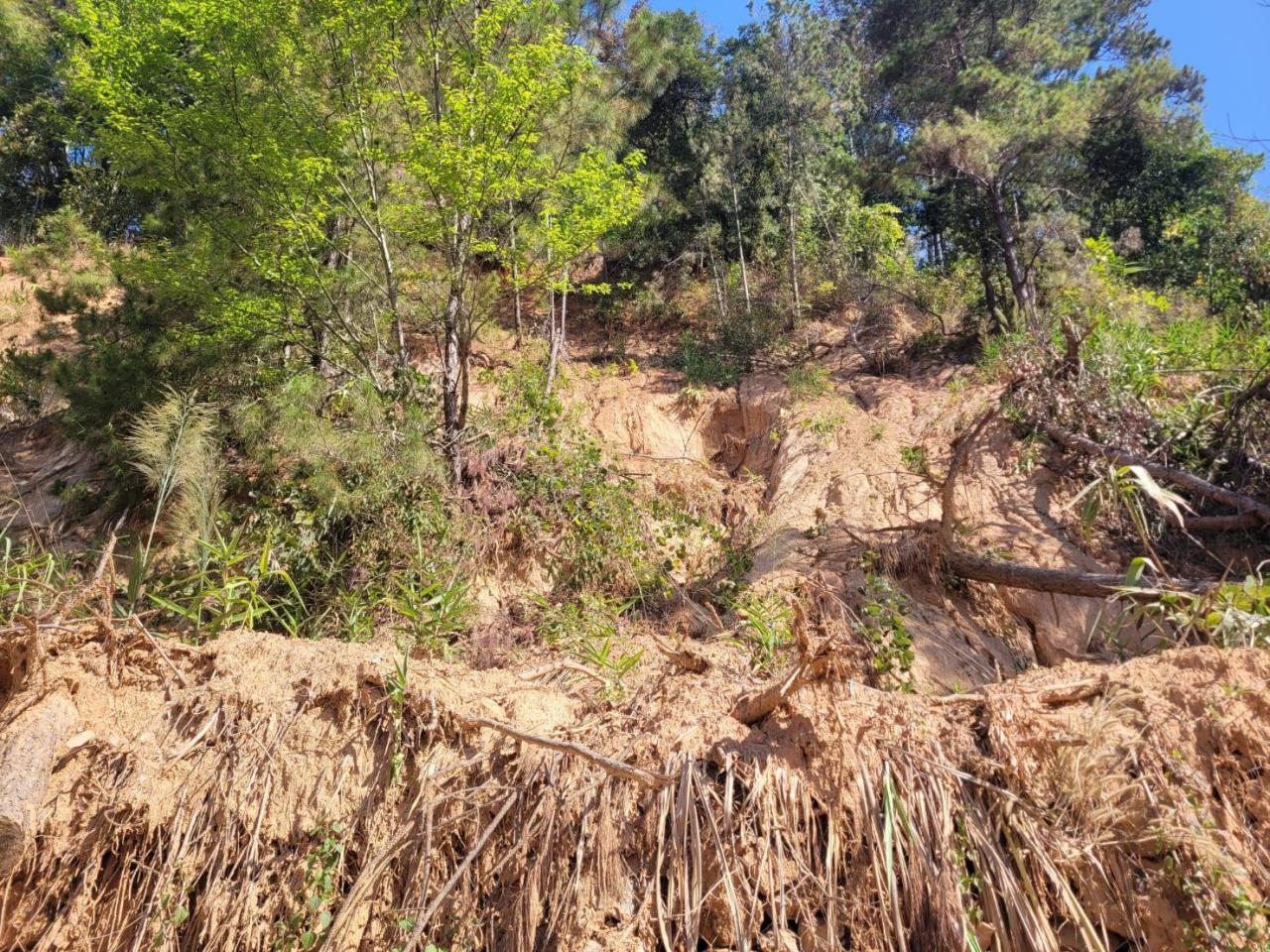 ภาพประกอบที่ 7