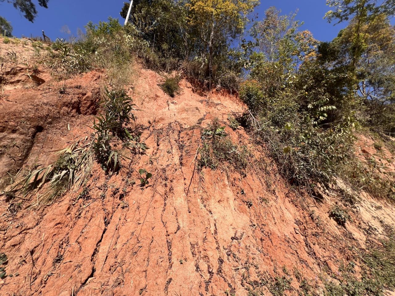 ภาพประกอบที่ 8