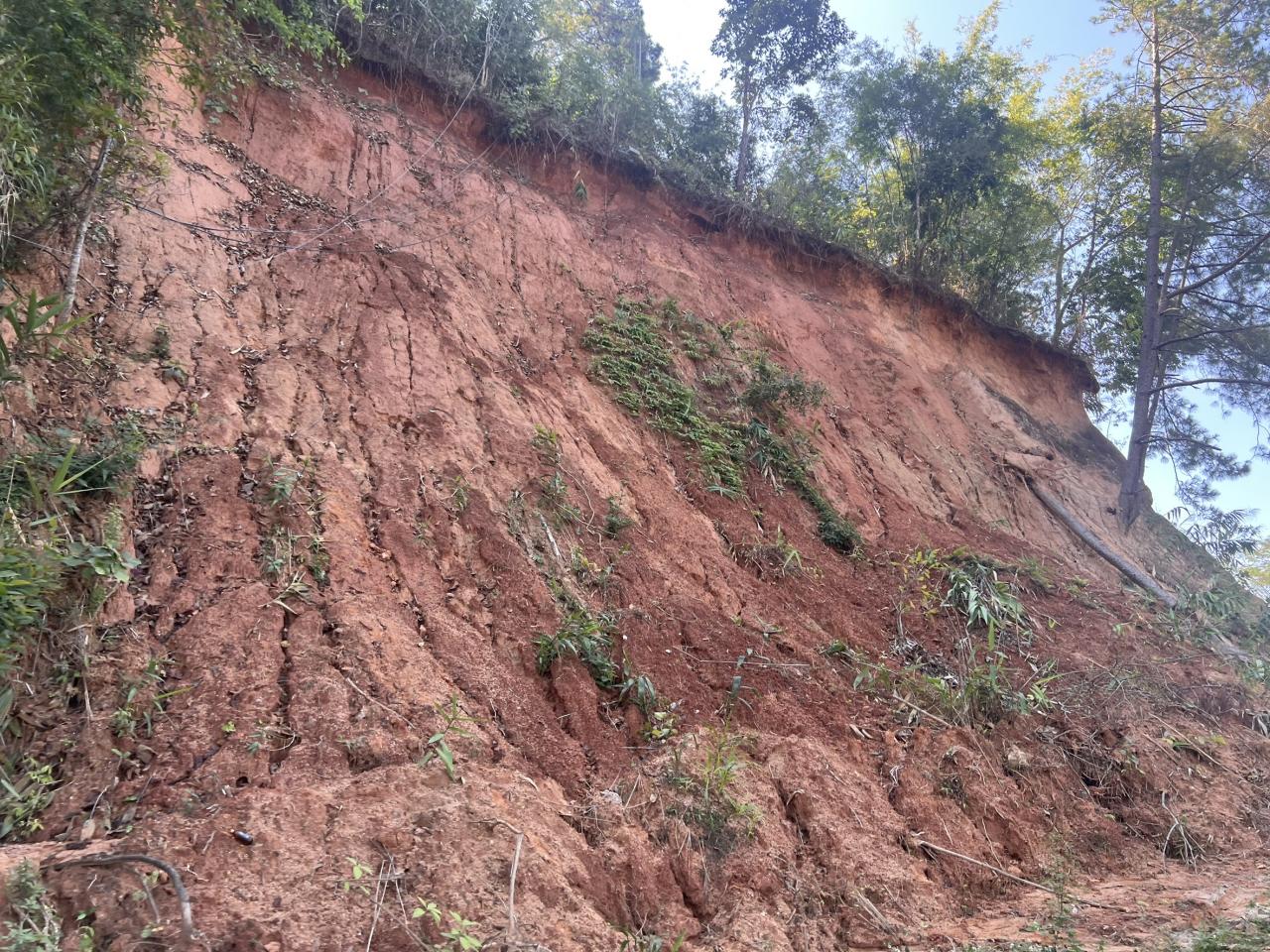 ภาพประกอบที่ 10