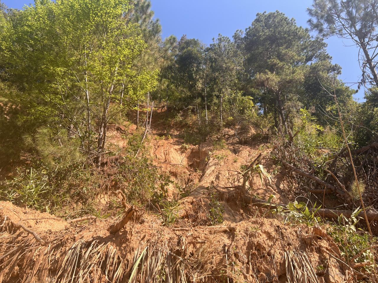 ภาพประกอบที่ 12