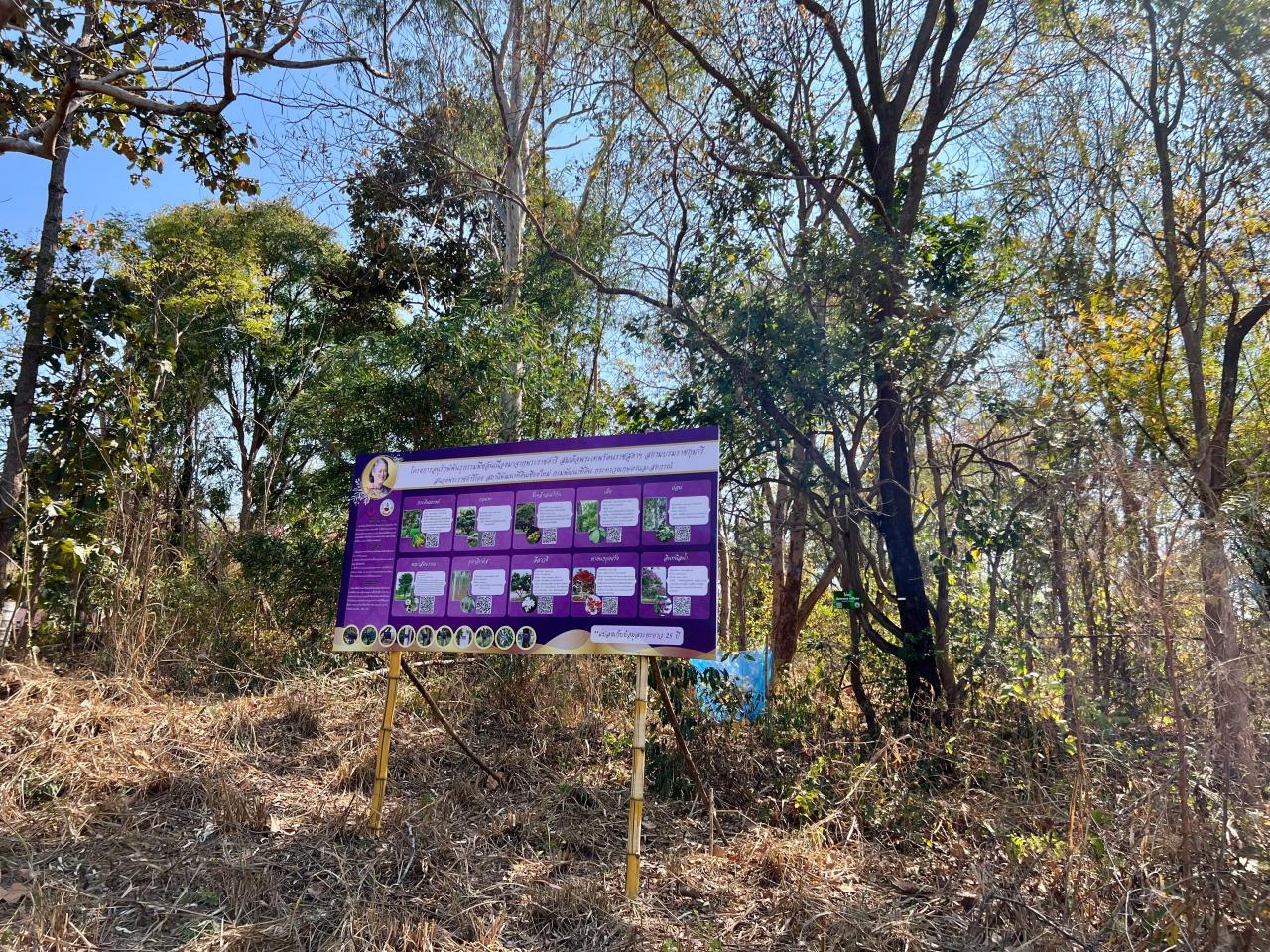 ภาพประกอบที่ 8