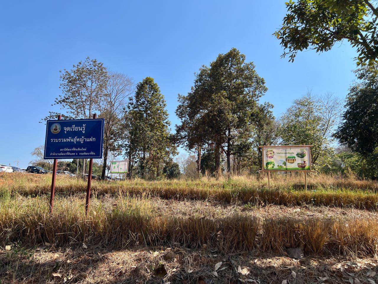 ภาพประกอบที่ 6