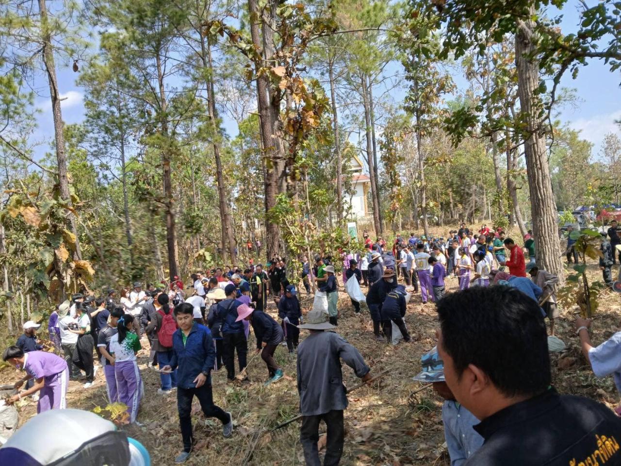 ภาพประกอบที่ 11