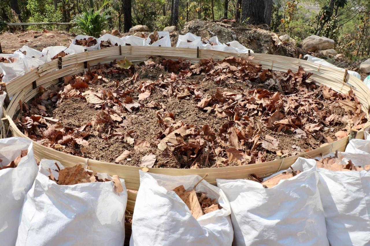 ภาพประกอบที่ 12