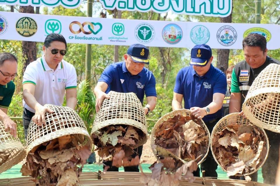 ภาพประกอบที่ 13