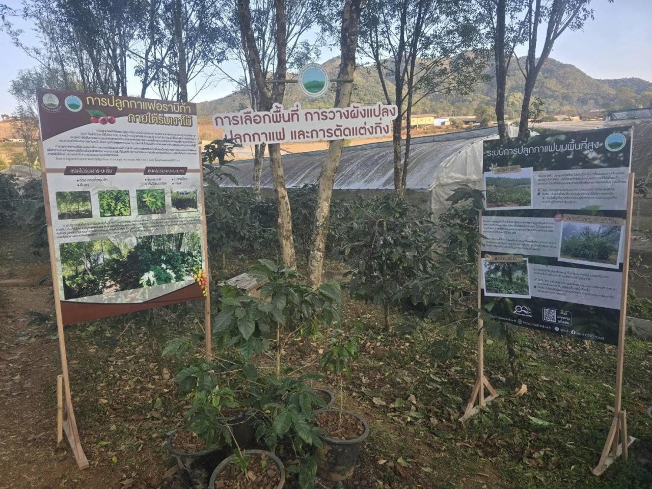 ภาพประกอบที่ 3