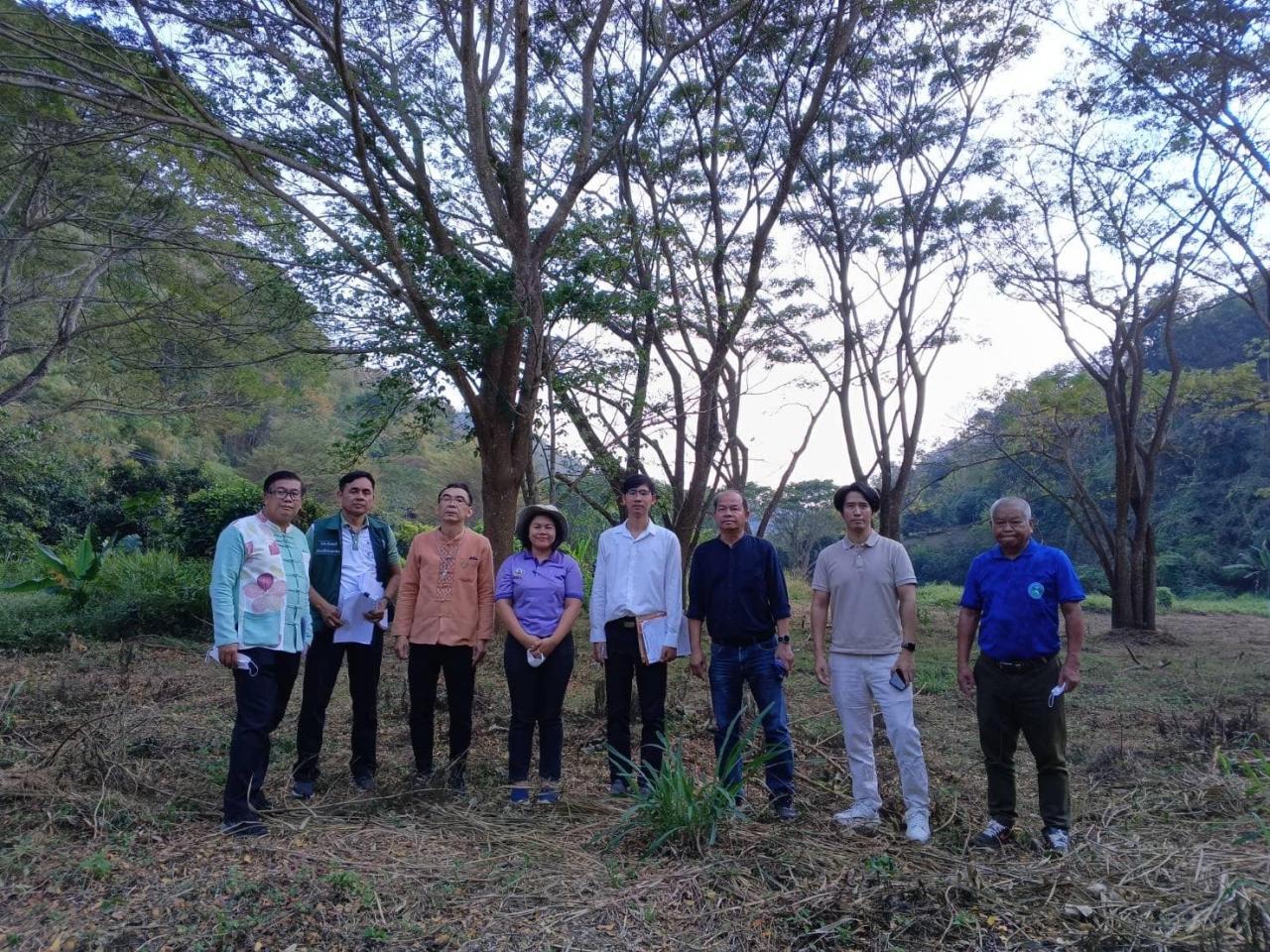 ภาพประกอบที่ 4