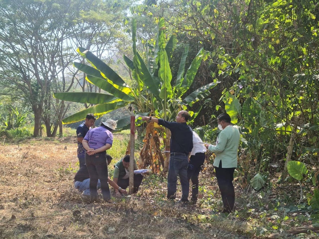 ภาพประกอบที่ 7