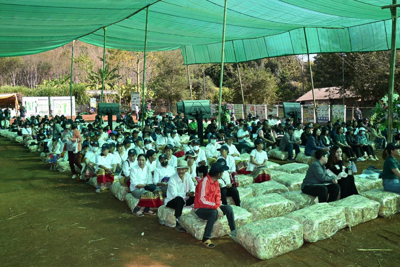 ภาพประกอบที่ 11