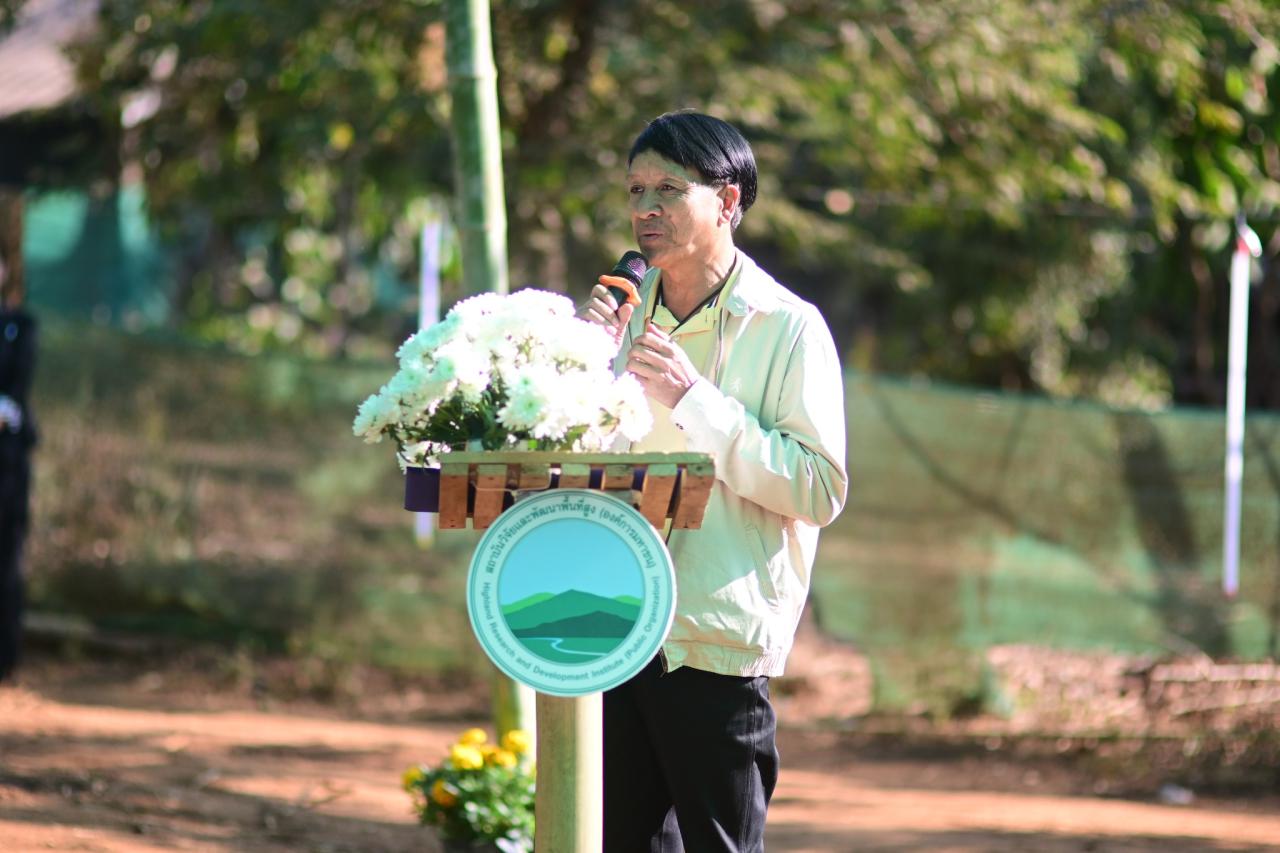 ภาพประกอบที่ 13