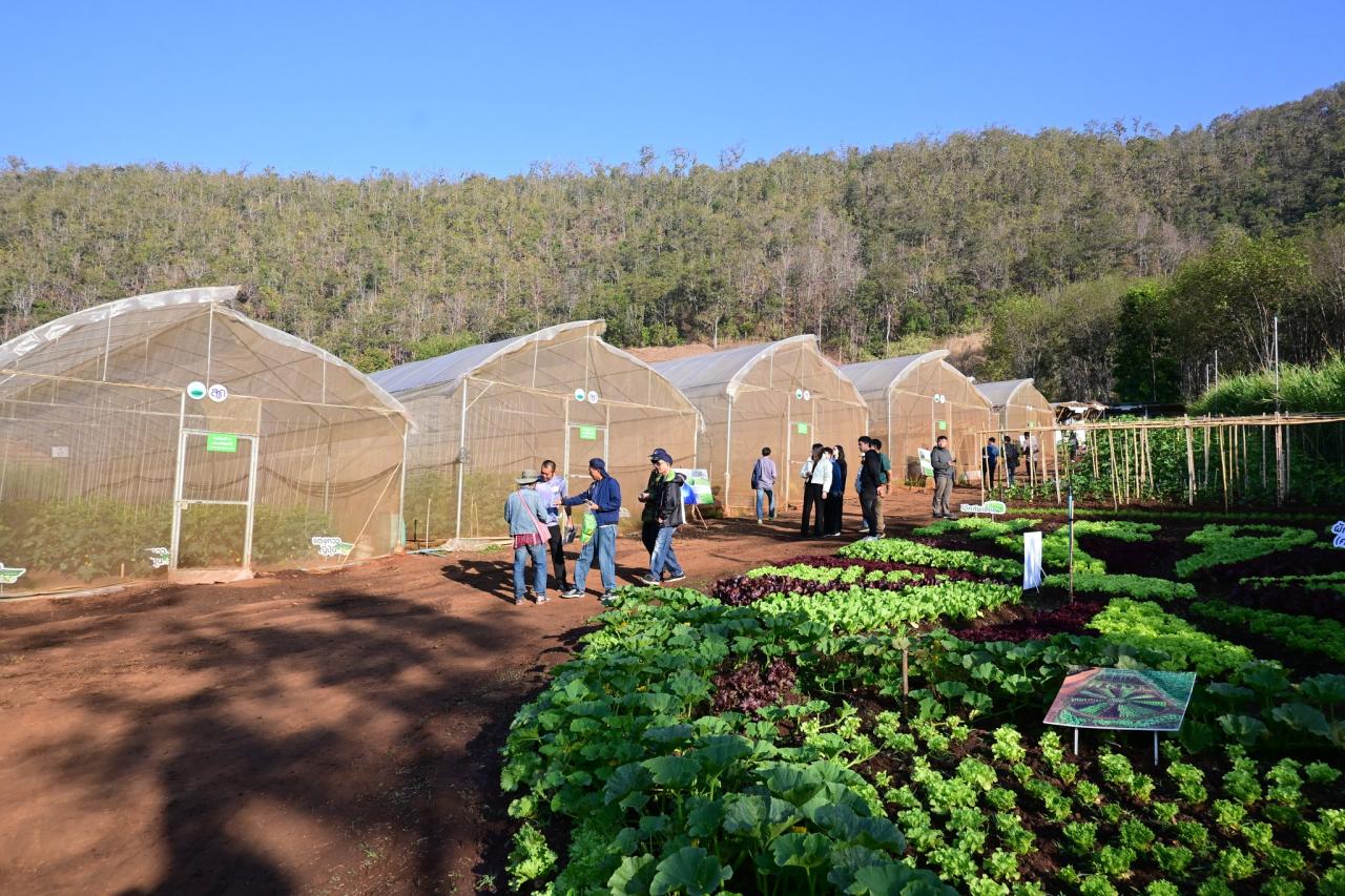 ภาพประกอบที่ 15