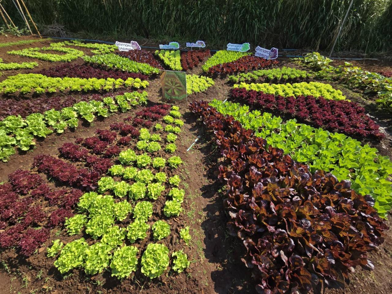 ภาพประกอบที่ 0