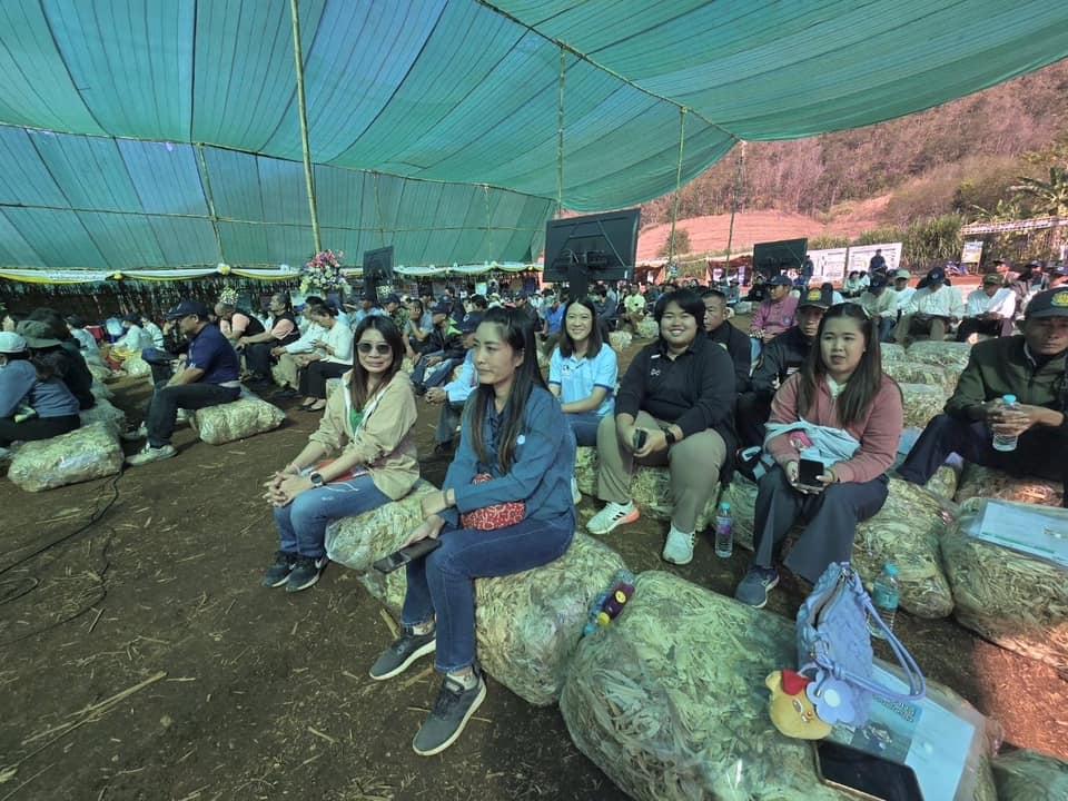 ภาพประกอบที่ 4