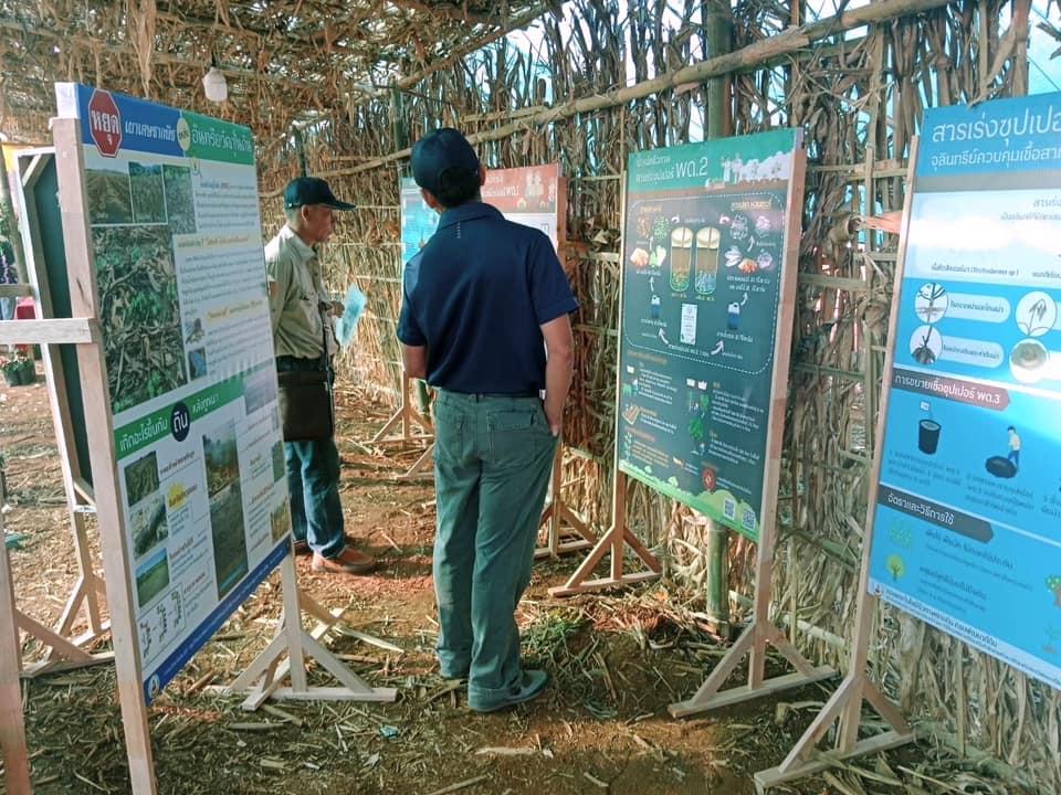 ภาพประกอบที่ 5