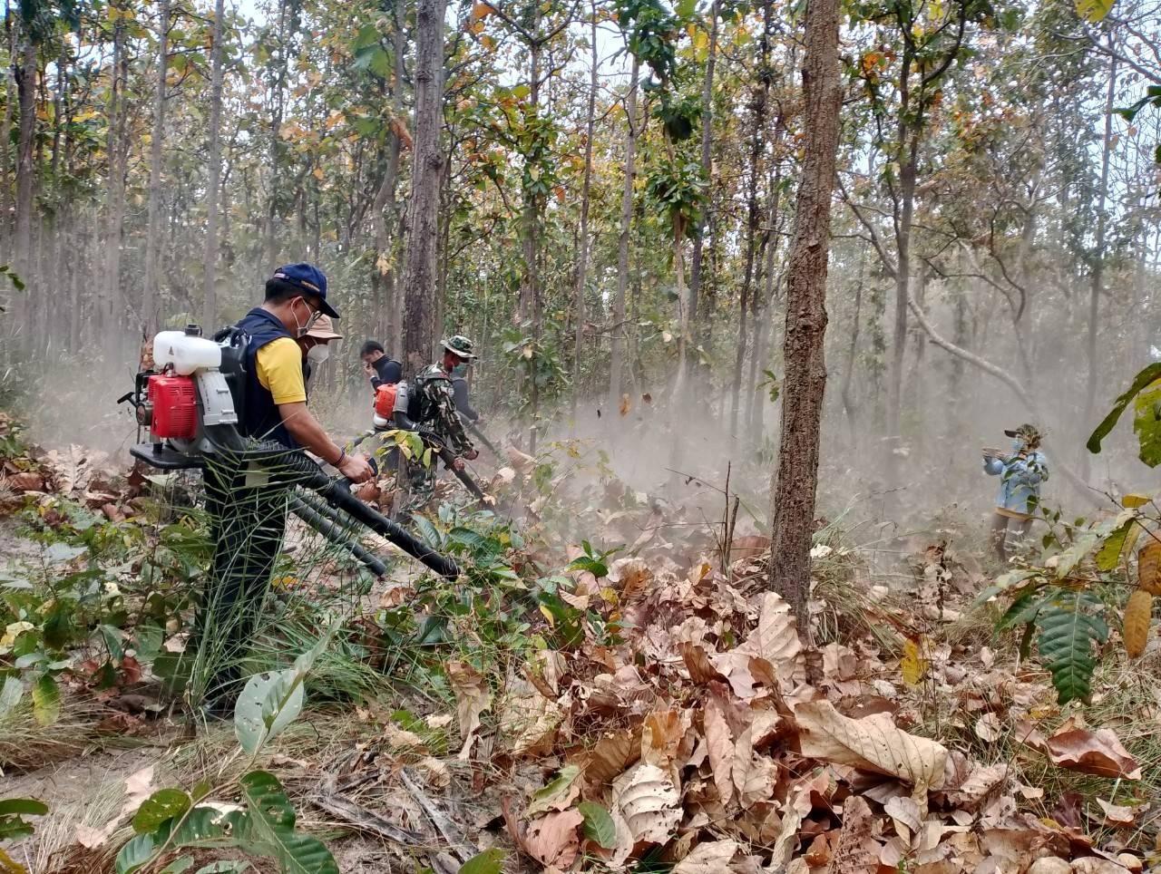 ภาพประกอบที่ 0