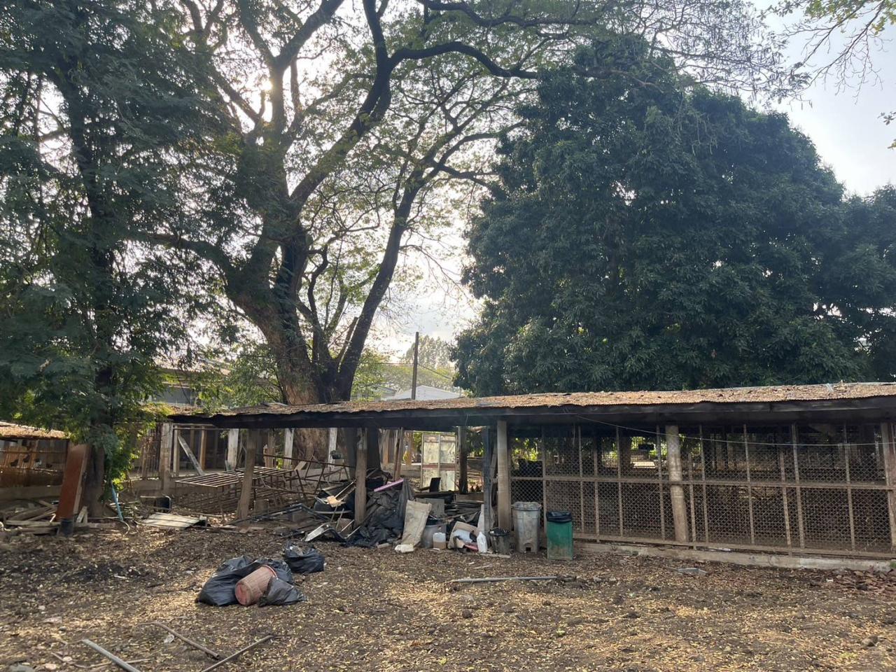 ภาพประกอบที่ 6