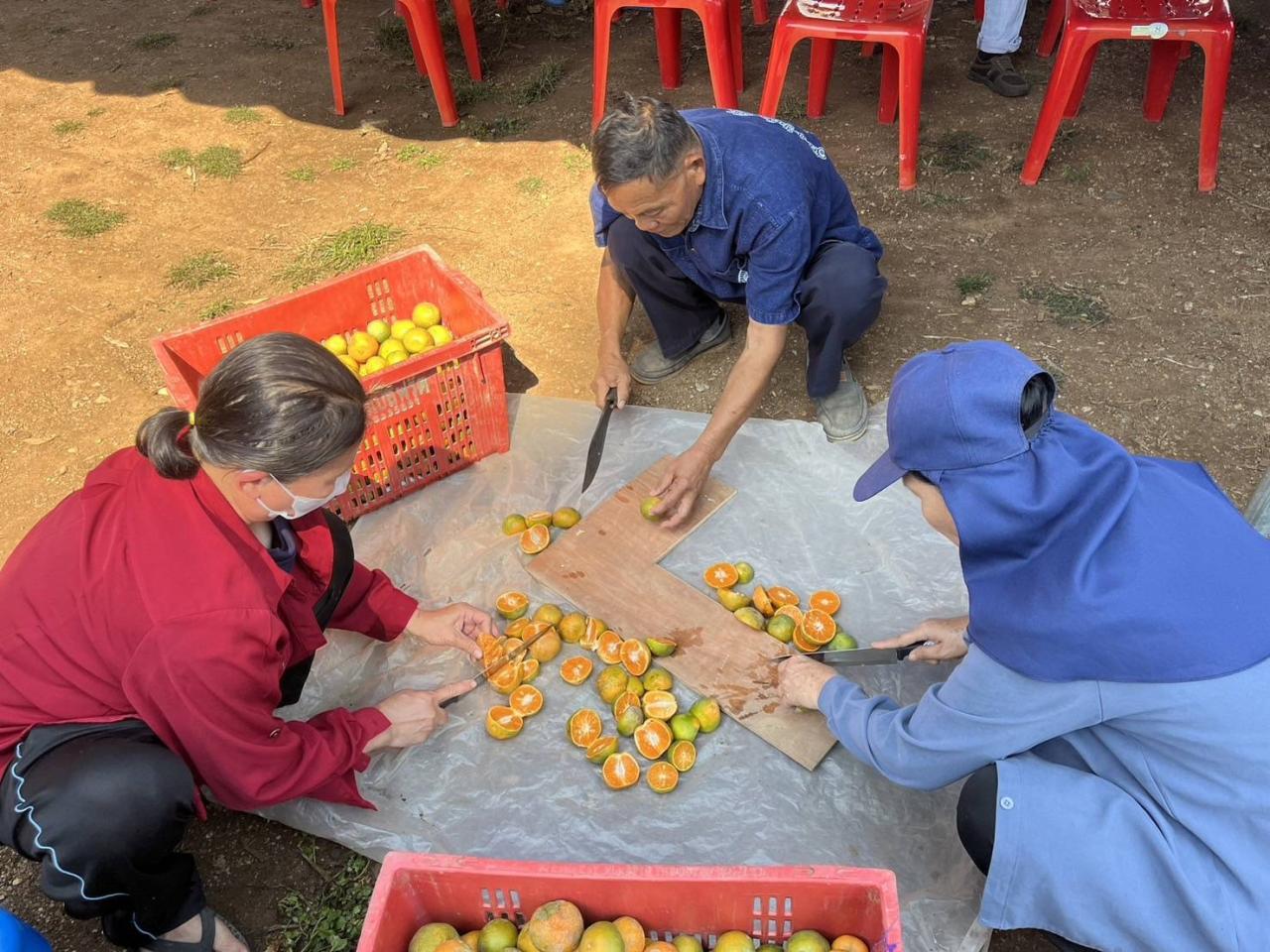 ภาพประกอบที่ 7