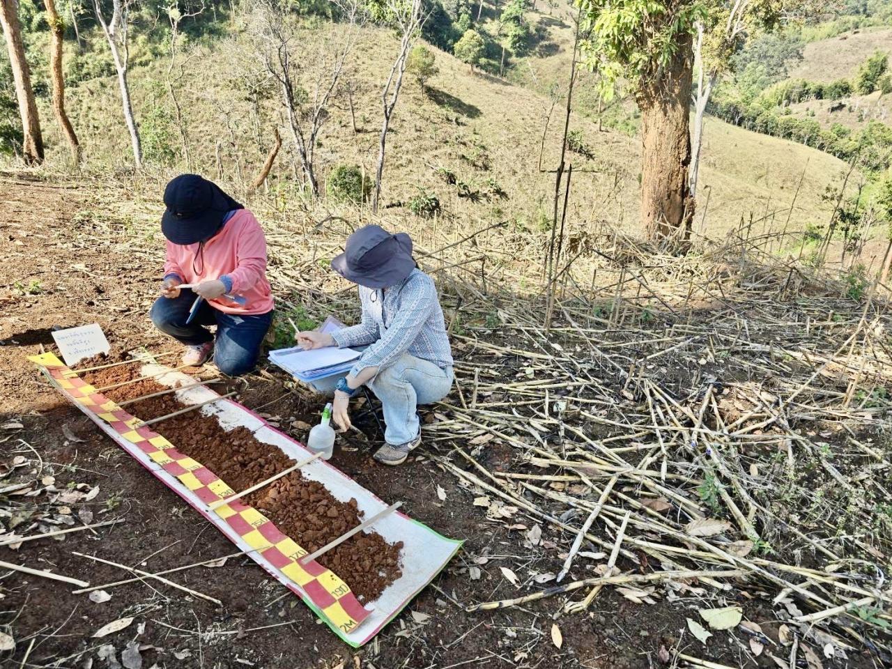 ภาพประกอบที่ 0