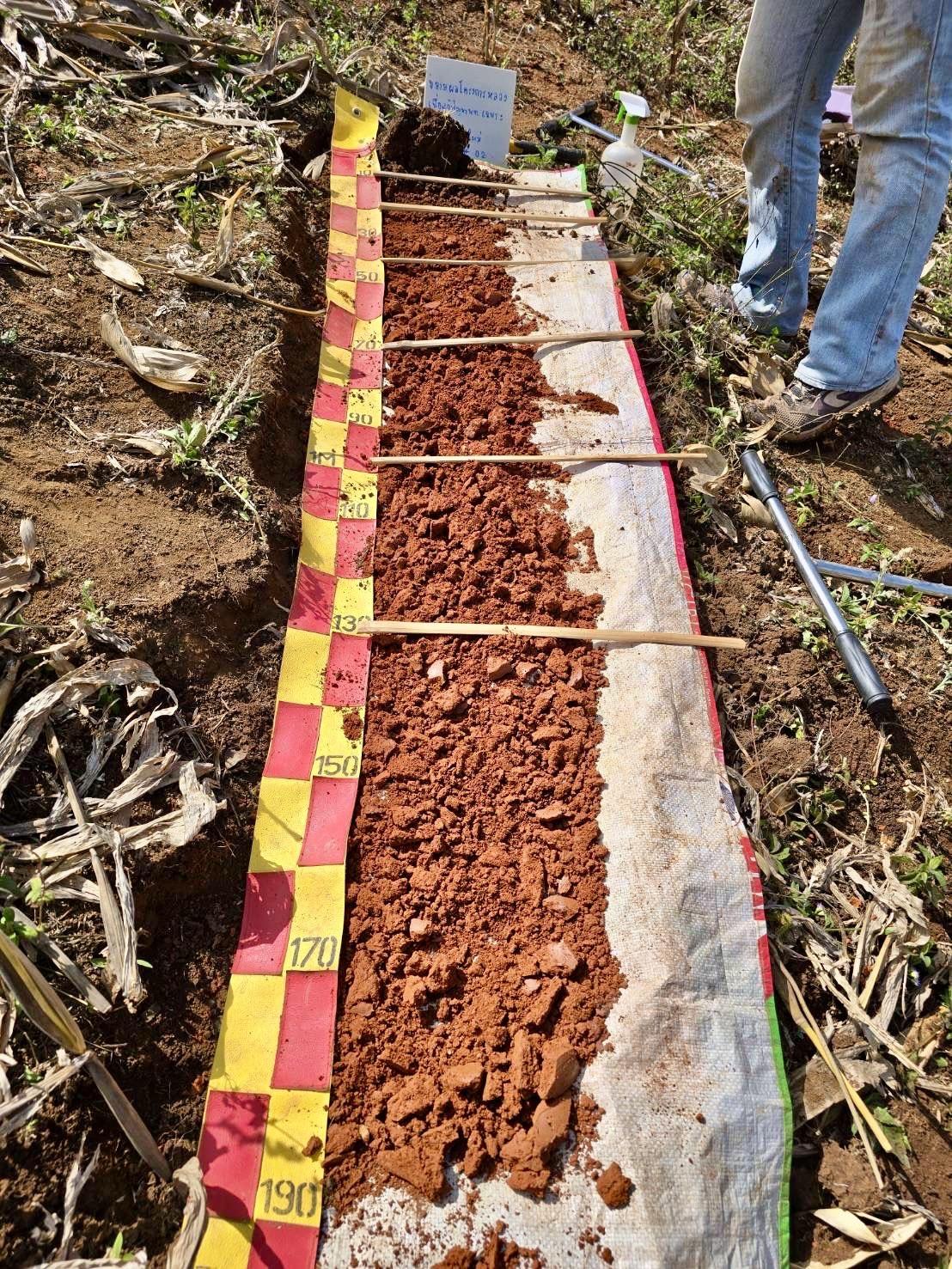 ภาพประกอบที่ 1