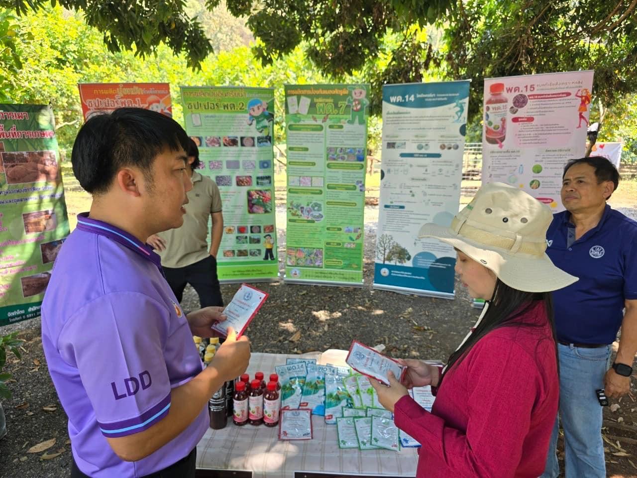 ภาพประกอบที่ 6