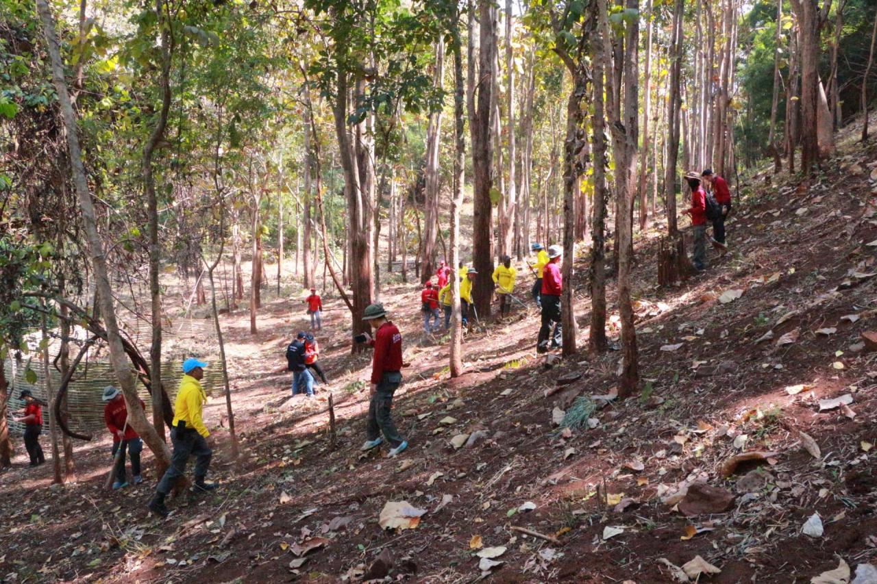 ภาพประกอบที่ 8