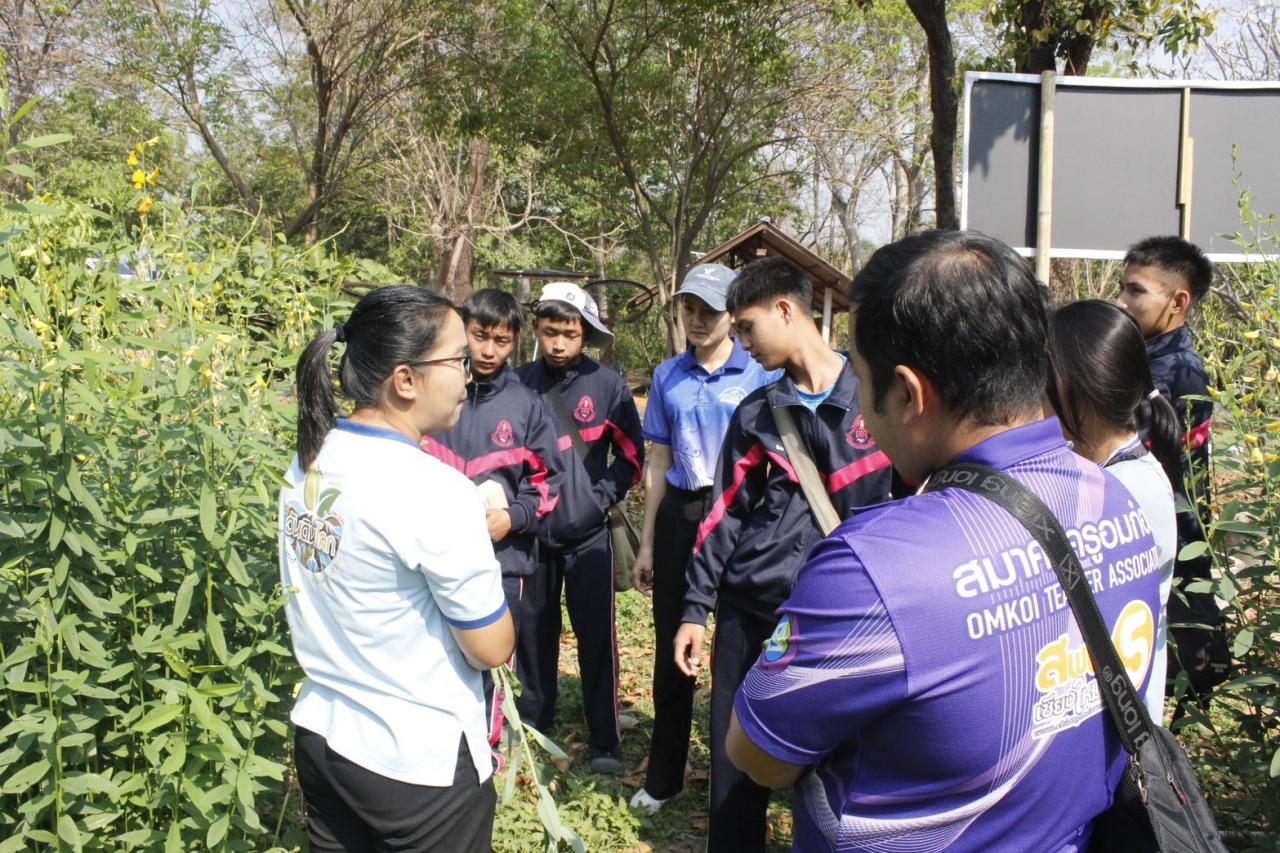 ภาพประกอบที่ 13