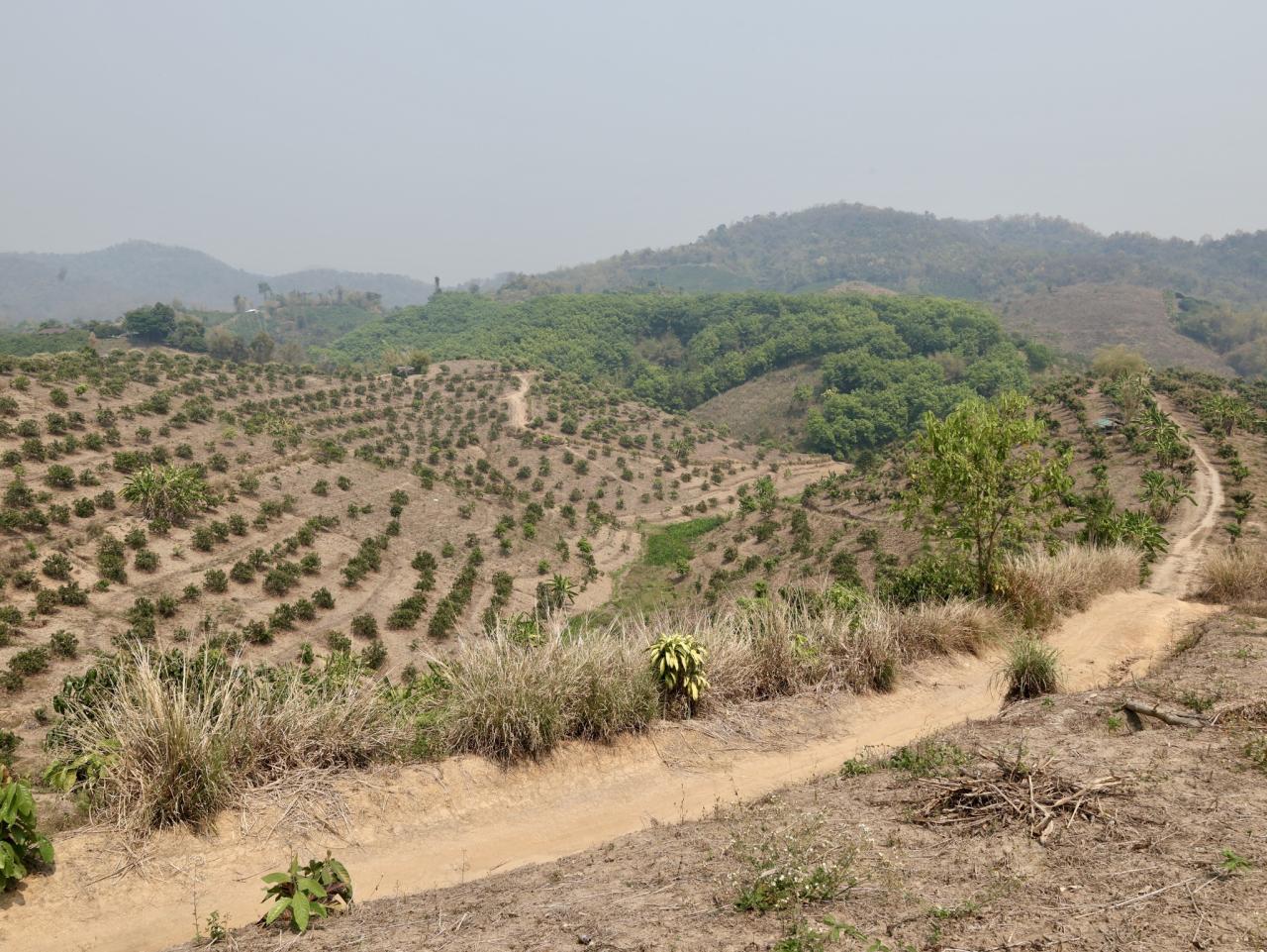 ภาพประกอบที่ 3