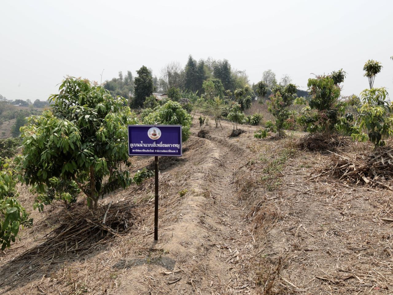 ภาพประกอบที่ 6