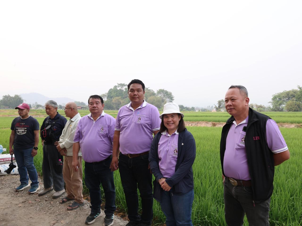 ภาพประกอบที่ 8