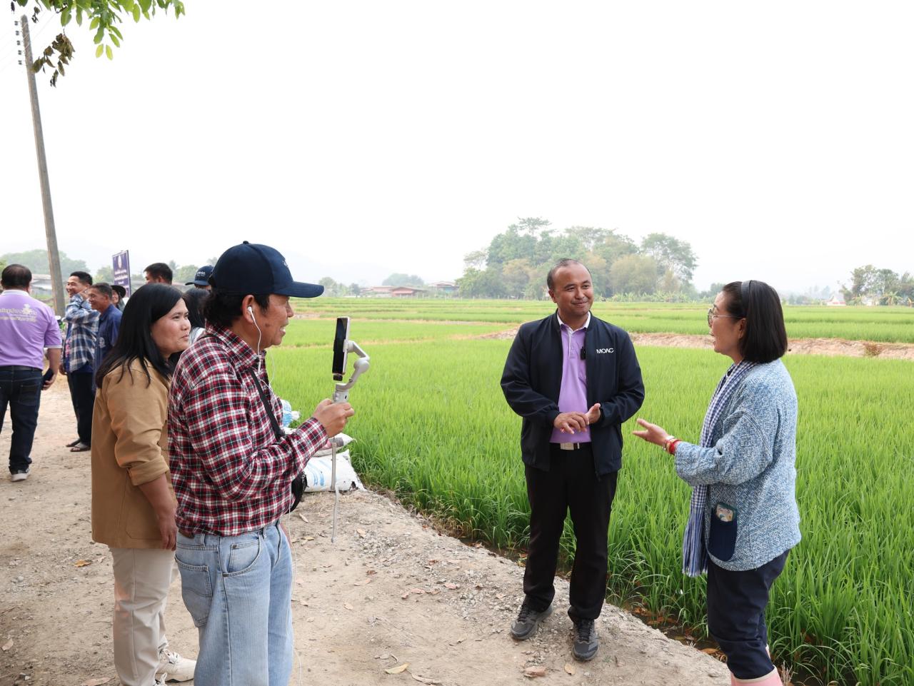 ภาพประกอบที่ 17