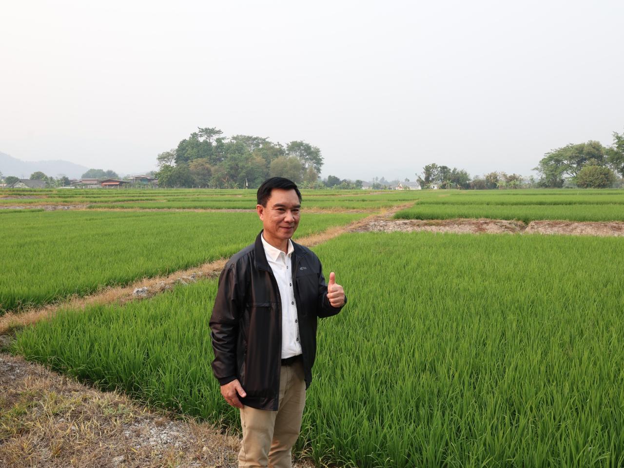 ภาพประกอบที่ 20