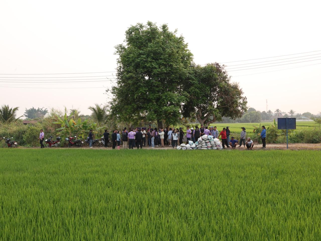 ภาพประกอบที่ 21