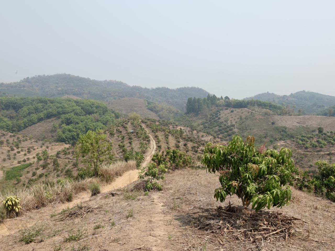 ภาพประกอบที่ 22