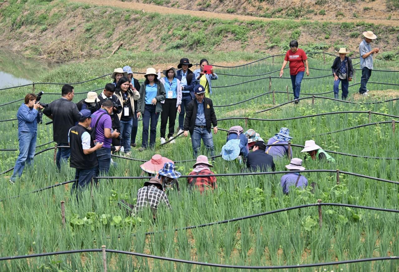 ภาพประกอบที่ 4