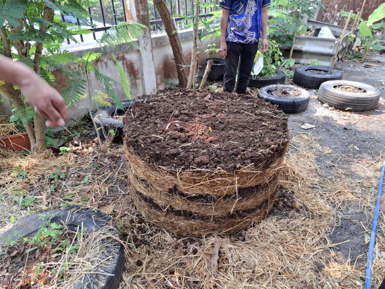 ภาพประกอบที่ 1