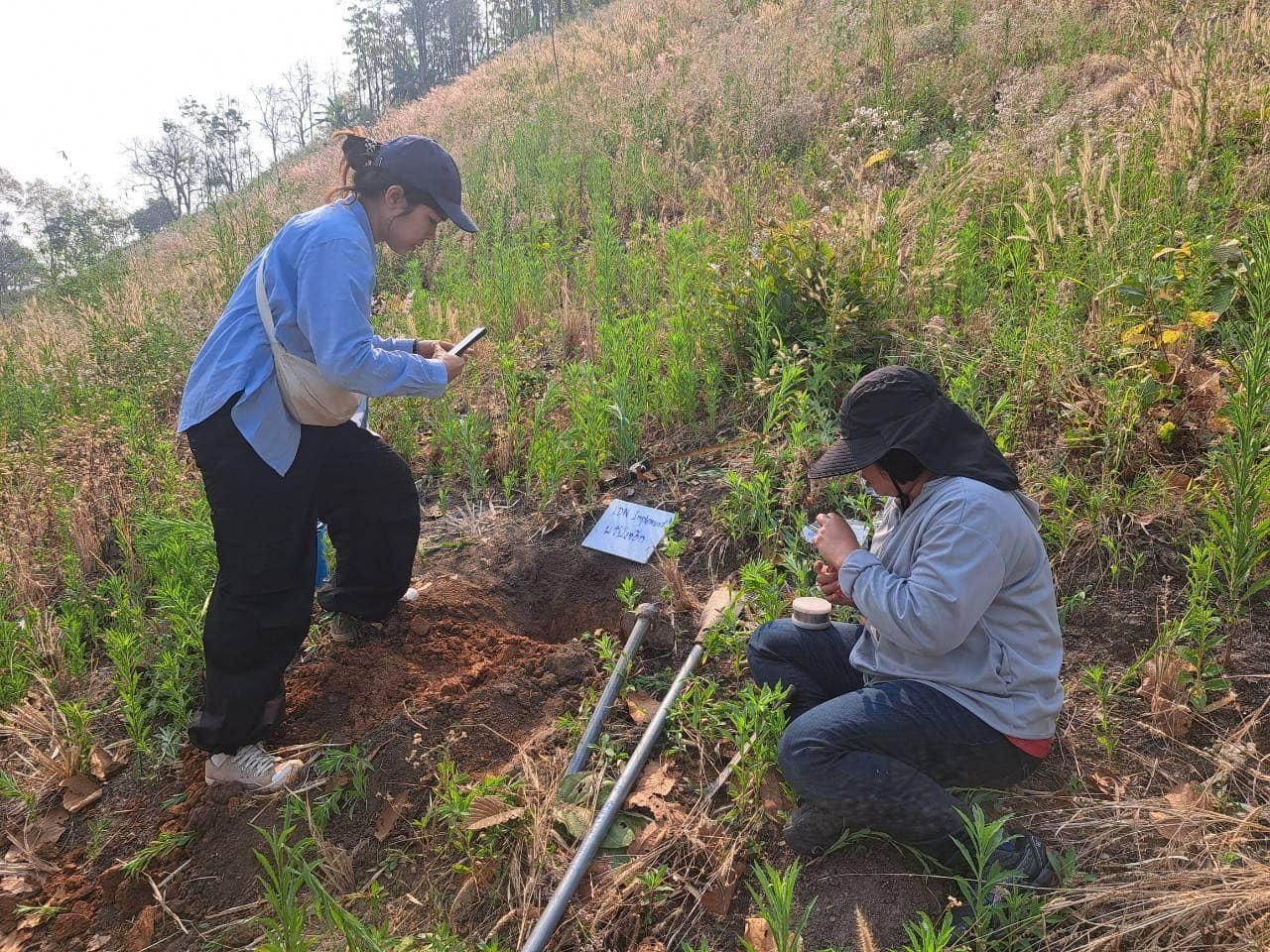 ภาพประกอบที่ 0