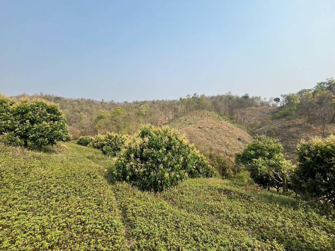 ภาพประกอบที่ 1