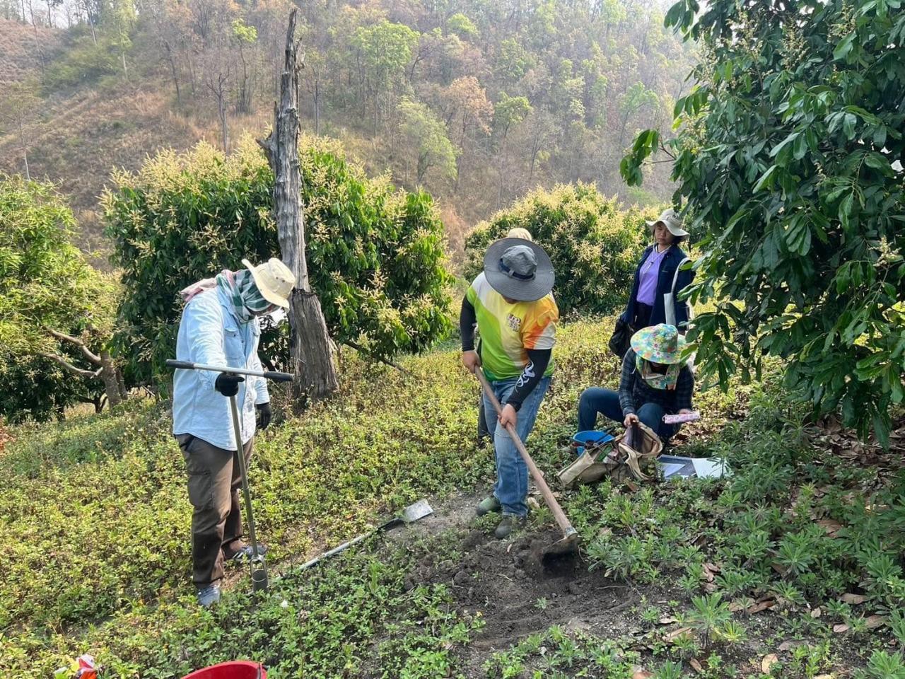 ภาพประกอบที่ 3