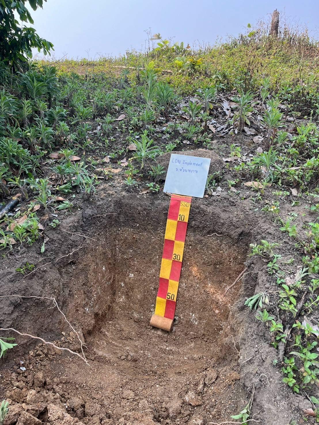 ภาพประกอบที่ 5